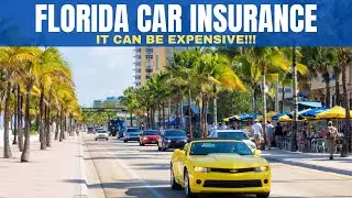 CAR INSURANCE IN FLORIDA! | Tampa Bay FL