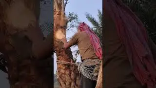 গ্ৰামের একটা ঐতিহ্য তুলে ধরলাম সকালের সামনে #youtube #voice #vairal #video