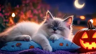 12 Hours Of Music For Cats 🐈 Cat Therapy Music ♬ Healing Piano Sounds for Stress-Free Cat Naps