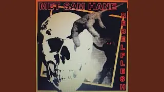 Met Sam Hane
