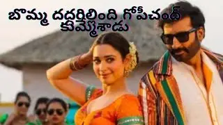 Seetimaarr Movie Public Review Gopichand/ Tamannaah/Digangana Suryavanshi