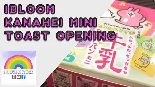 iBloom Kanahei Mini Toast Opening