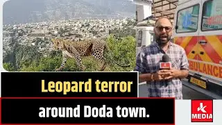 Леопард te_rror около города Дода.