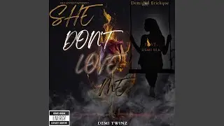 She dont love me (feat. Demi Blk)