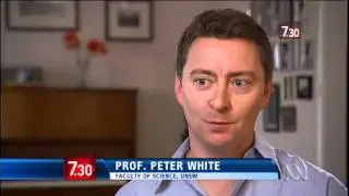 Sydney 2012 virus makes mark in new year