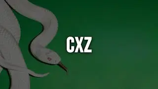 Deftones - cXz [Lyrics]