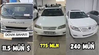 Lisiçka Camry Öküz kelle Forland Amatly Bahalar