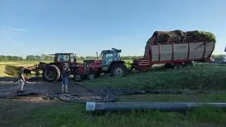 Gras inkuilen en lossen met de neusen tegen elkaar.