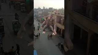 Bala bala shaitan ka sala 😂😂| funny monkey video 🐒🐵😱#funny #comedy #trending #viralvideo