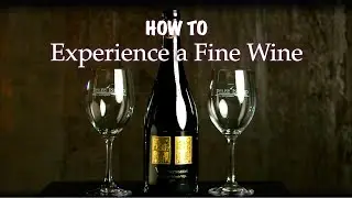 VINEDRESSERS - Exceptional Wine at PELEE ISLAND WINERY