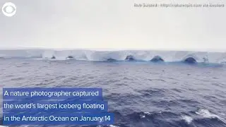 World's largest iceberg seen floating in Antarctic Ocean