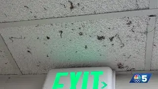 'You have a mold problem': City Council resolution to realign UVM dorms with city code