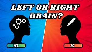 Left Brain vs Right Brain Test: 25 Quick Questions to Reveal Your Dominant Side