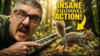 Insane Squirrel Action!