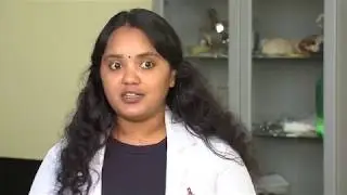 Study Medicine MD/MBBS in the Philippines -Study in Philippines