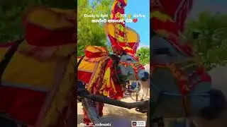 haveri Rockstar at Haveri/haveri Rockstar Hori habba 26/10/2022/happy diwali for all Rockstar fan's