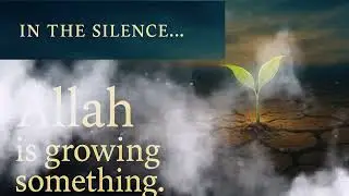 The Hidden Garden: Trusting Allah in Silence | A Powerful Islamic Reflection