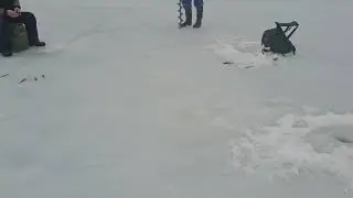 @Pilkill&auml; p&auml;&auml;si&auml;isen&auml; 31.3.2024 🇫🇮