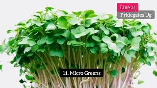 16 profitable cash crops to Boost Your Fortune in Uganda