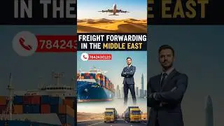 Why Every Expert Chooses Freight Forwarding as Their Supply Chain Career