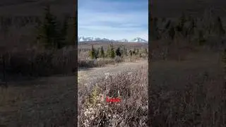 Unplug&hellip;Reset&hellip;Love, come walk with me. Let&rsquo;s enjoy #denali #alaska #alaskalife #life