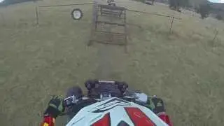Bike Territory - Chasing Pigs in the Gully