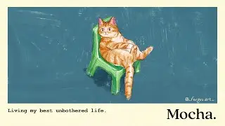 comfy cat.