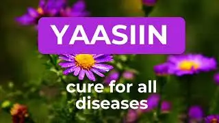 YAASIIN - cure for all diseases. #quran #allah #surah 