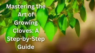The Art of Growing Cloves: A Step-by-Step Guide