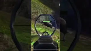 Scar l vs water buffalo