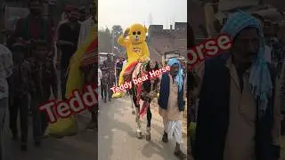 teddy bear #comedyfilms #trending #teddyprank