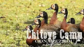 Chitove camp, Gonarezhou