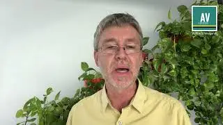 Predicación Lucas 8:1-3. El equipo de misión de Jesús