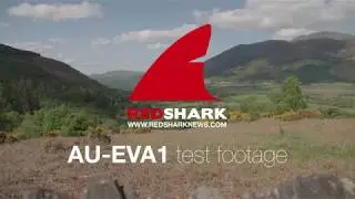 Panasonic EVA1 test reel