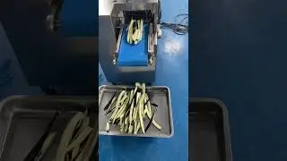 Eggplant cutter. Strip cutter.  Fully automatic strip cutter