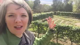 George Washington's Gardens Are #Goals!