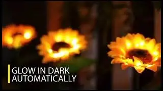 Magic ✨ Solar Sunflower 🌻🌻🌻🌻 Set of 4 original 💯 with box solar rechargeable