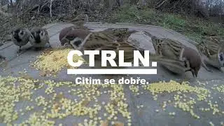 CTRLN. - C&iacute;tim se dobře.