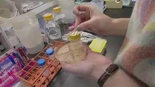 How Colorado scientists are using enzymes to break down plastic