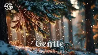 Winter Acoustic Healing | Relaxing Guitar for Deep Sleep & Inner Peace