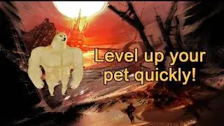 Guild Wars - two areas to quickly level up your Animal companion 🐾