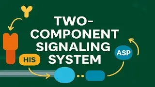 Two-Component Signaling System