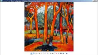 Color Theory, Study Guide Fauvism
