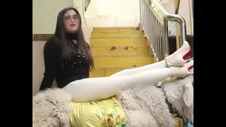 Girl Riding her Sheep #sheep #sheepriding #goat #goatriding #donkey #donkeyriding #Buffaloriding