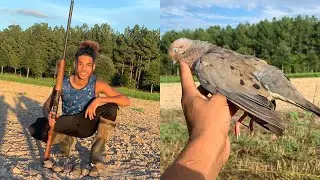 Action packed North Carolina dove hunt [liveee action]