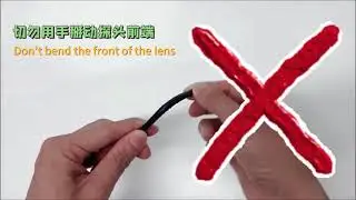 Veterinary Endoscope Demonstration | Portable HD Gastroscope for Small Animals