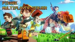 Pixark Private YouTube Server Lets Play