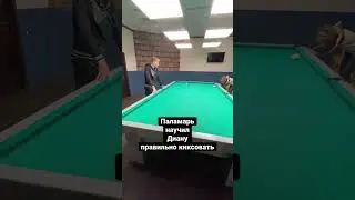Паламарь тренирует Диану Миронову 😁🔥 #billiard #бильярд #shorts
