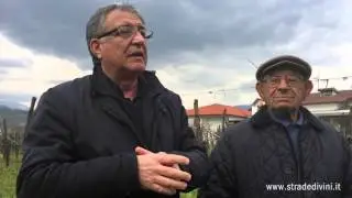 Il paesaggio vitivinicolo di Castelvenere | Strade di Vini Lab