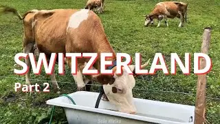 Solo Walks Switzerland Part 2 | Peaceful Countryside, Green Hills & Cows | 25 Minutes